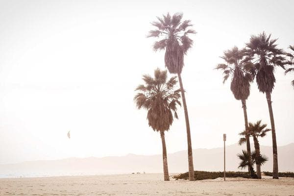 Warum Marketing-Teams zur Software-Abteilung mit Agentic AI werden